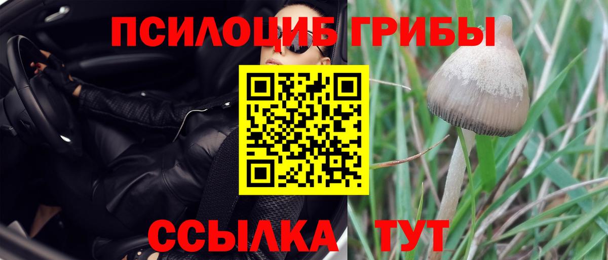 Галлюциногенные грибы Cubensis  Вход с VPN  Асбест 